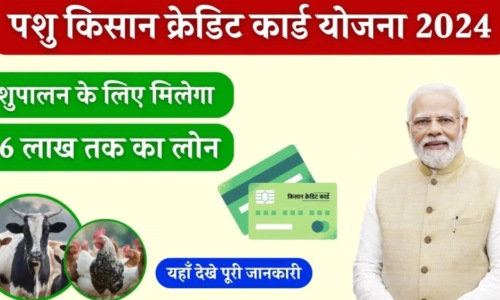 Pashu Kisan Credit Card Yojana 2024: Farmers and herders will get loan up to Rs 1.6 lakh, see how to apply.